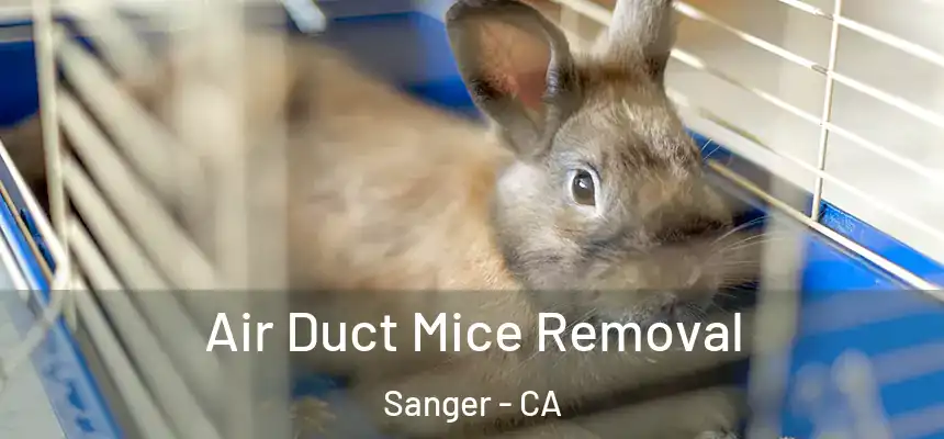  Air Duct Mice Removal Sanger - CA