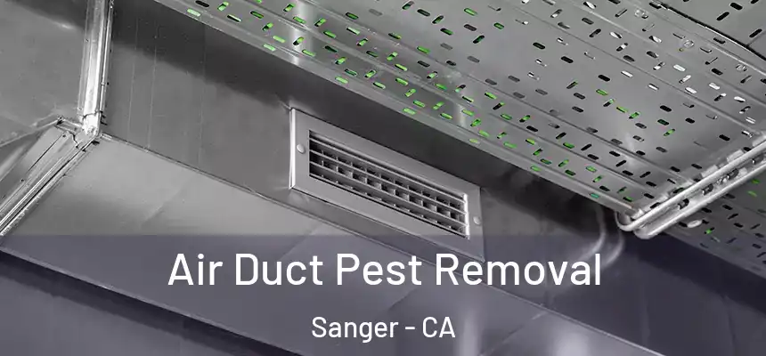Air Duct Pest Removal Sanger - CA