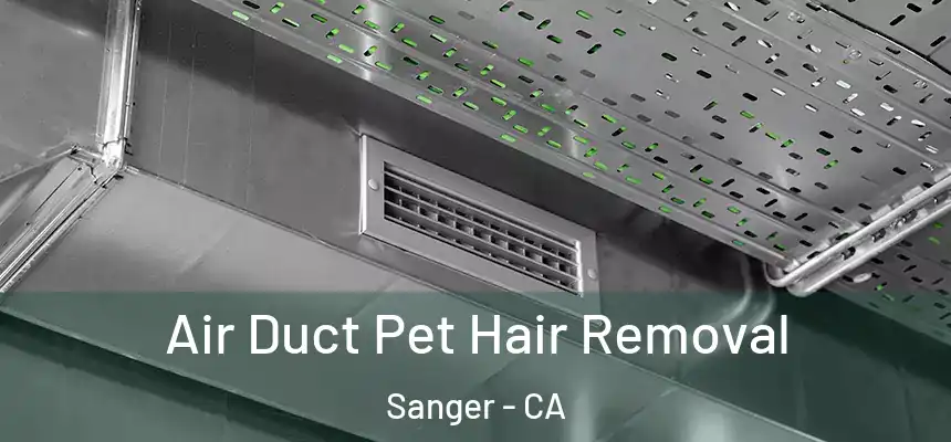  Air Duct Pet Hair Removal Sanger - CA