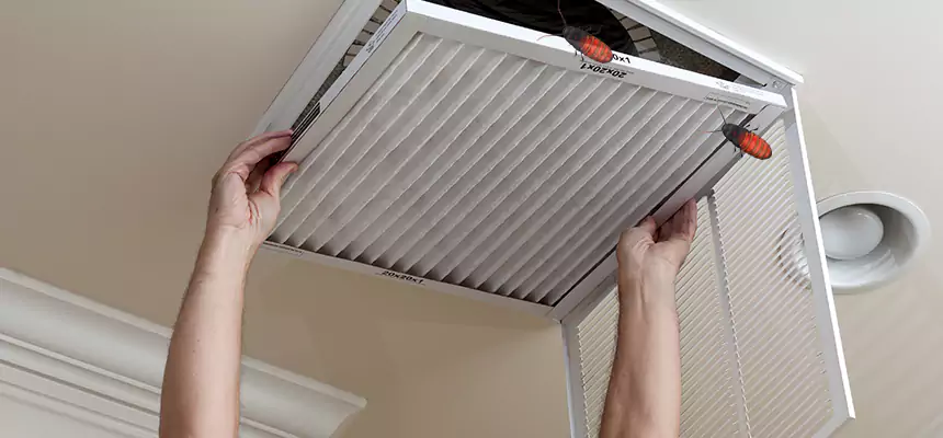 Our Insect Removal from Air Ducts Services in Sanger, CA