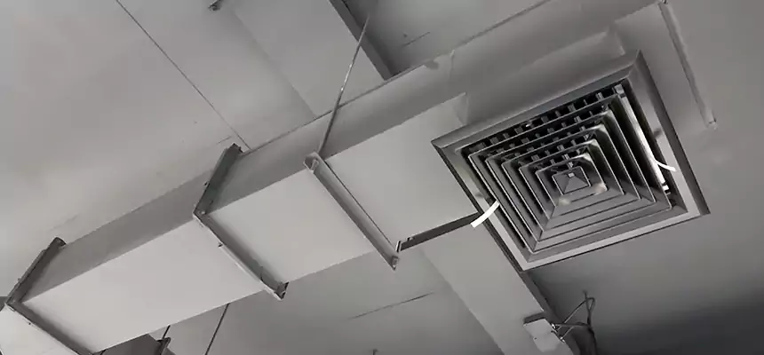 Our Rodent Droppings In Vents Services in Sanger, CA