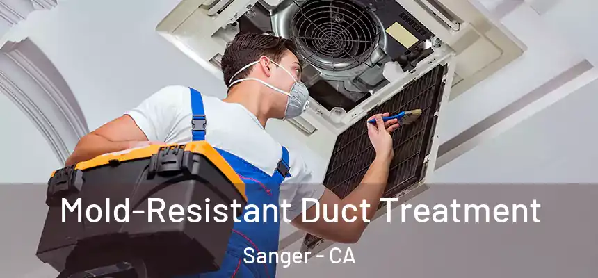 Mold-Resistant Duct Treatment Sanger - CA