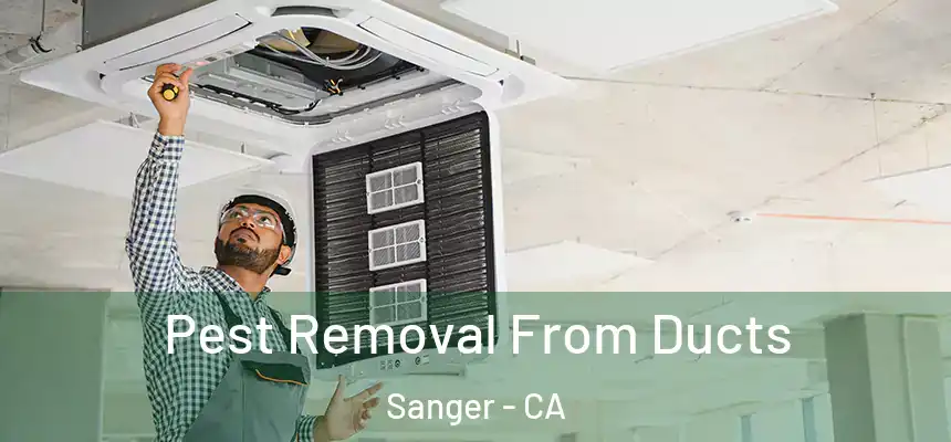 Pest Removal From Ducts Sanger - CA