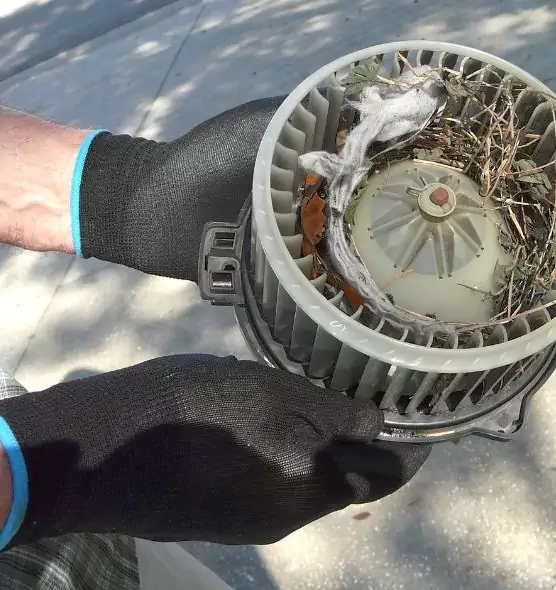 About Air Duct Mice Removal in Sanger, CA