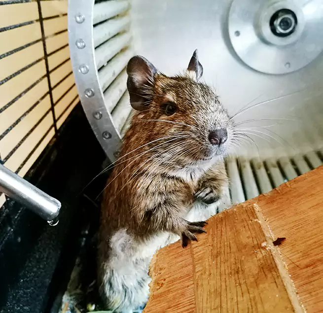 Why Homeowners & Businesses Trust Us Sanger, CA?