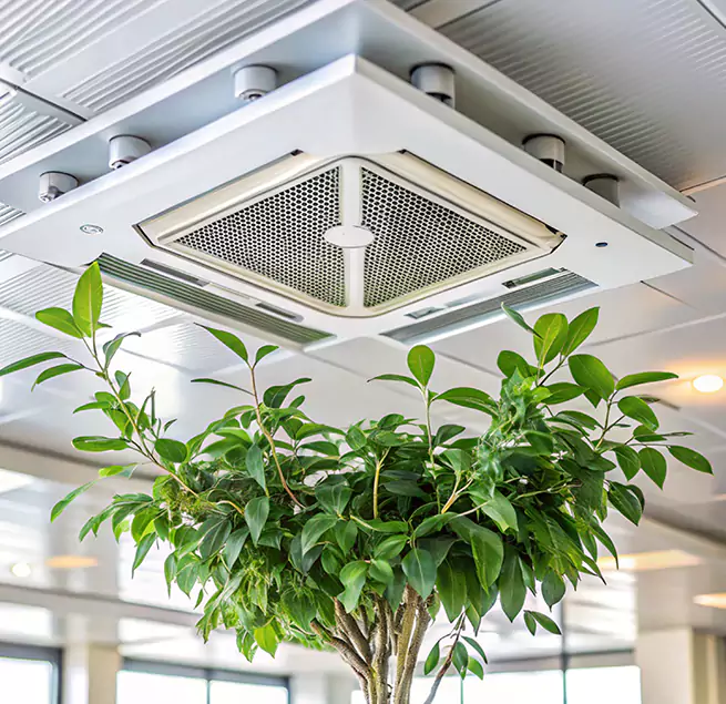 Why Homeowners & Businesses Trust Us in Sanger, CA?