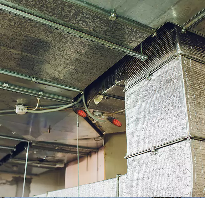 Why Homeowners & Businesses Trust Us Sanger, CA?